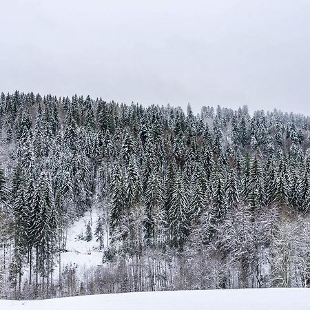 Апартаменты Koehlerstube Тодтмос Экстерьер фото
